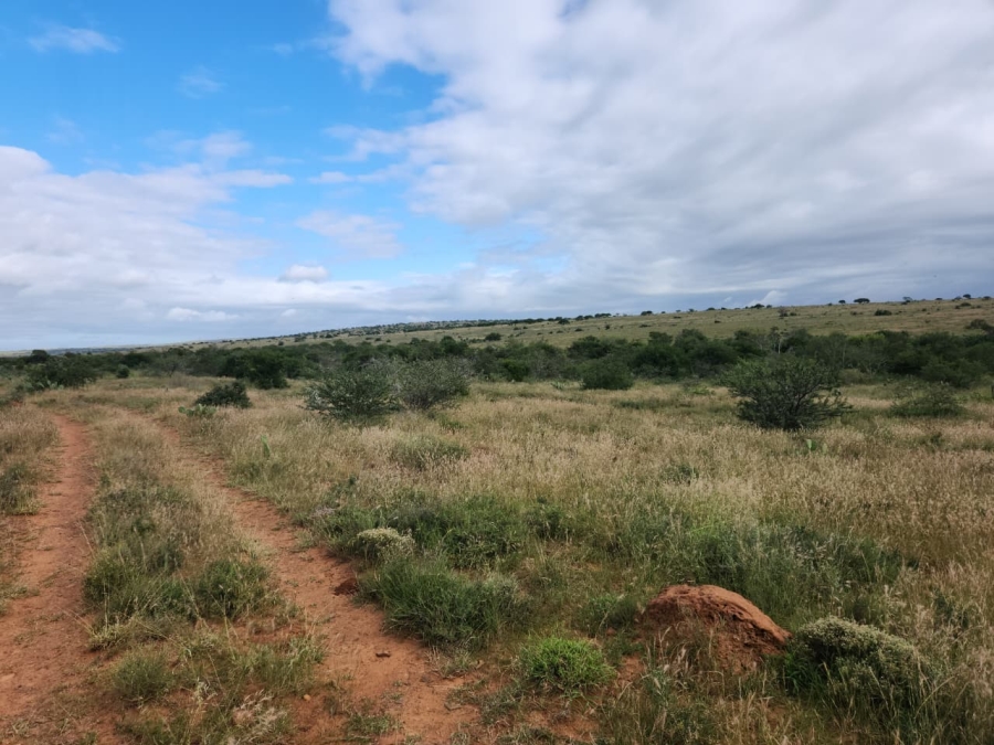 Commercial Property for Sale in Somerset East Rural Eastern Cape